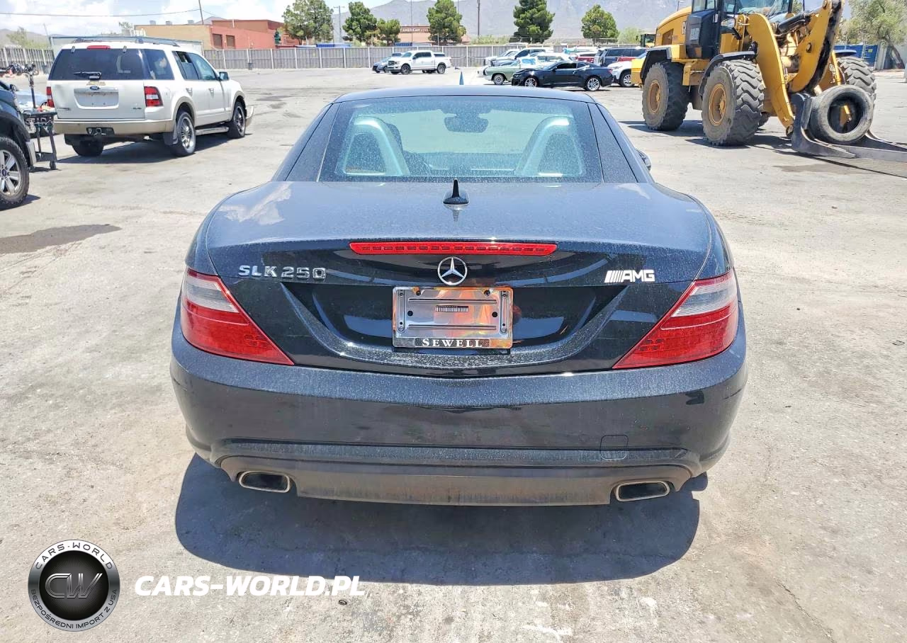 2014 Mercedes-Benz Slk 250 VIN:WDDPK4HA9EF090790 - 6