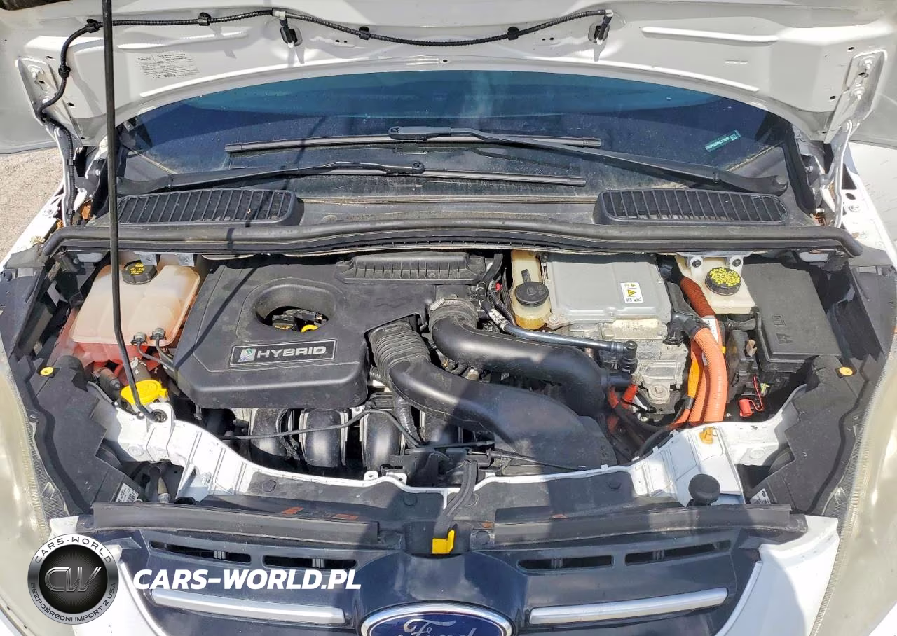 2016 Ford C-Max Se VIN:1FADP5AUXGL113819 - 11
