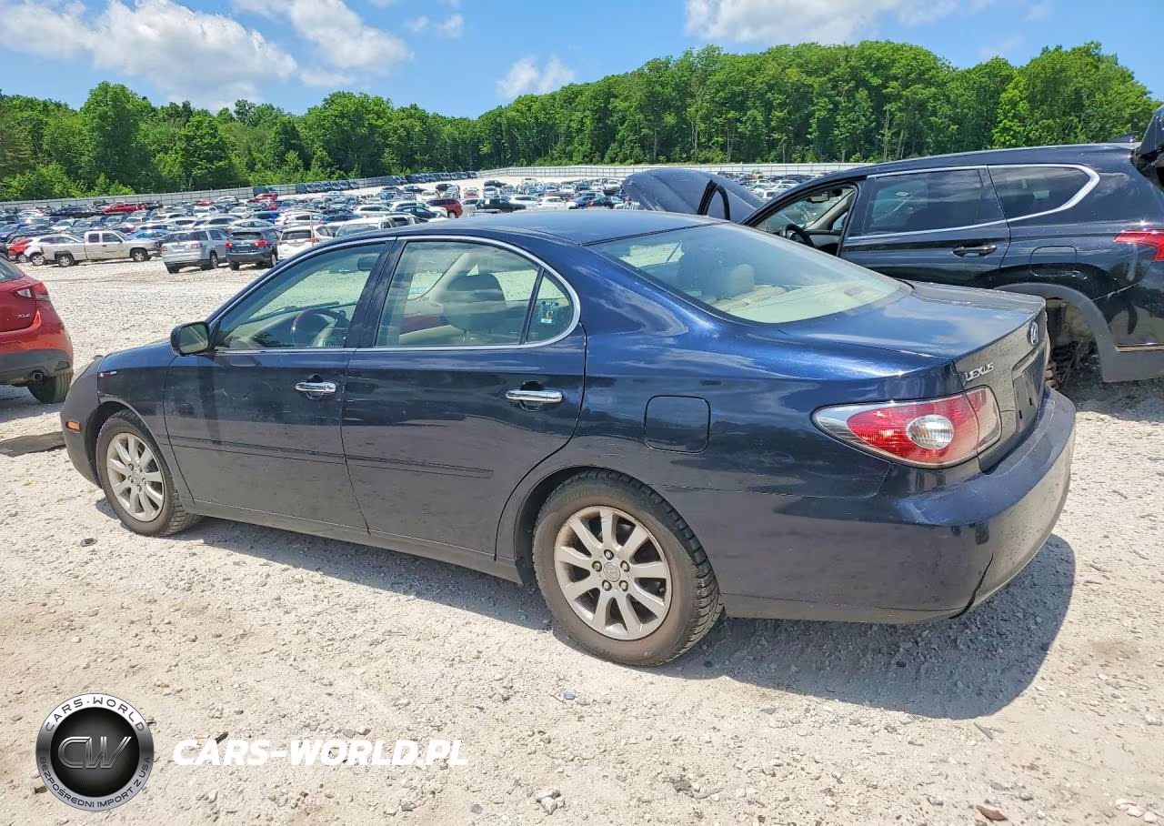 2004 Lexus Es 330 VIN:JTHBA30G545009286 - 2