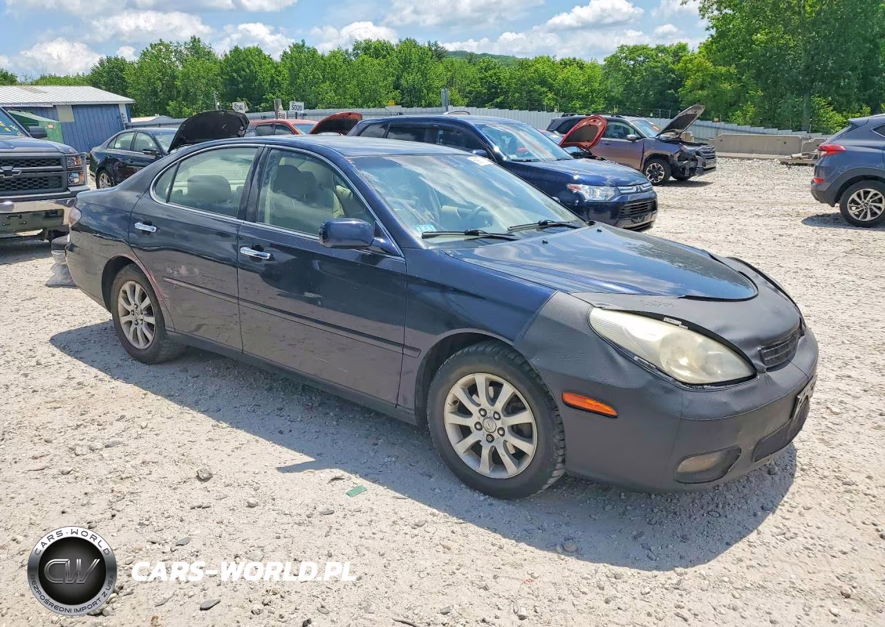 2004 Lexus Es 330 VIN:JTHBA30G545009286 - 4