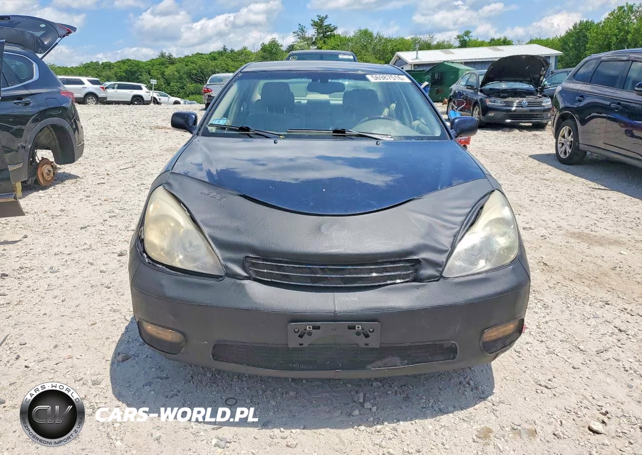 2004 Lexus Es 330 VIN:JTHBA30G545009286 - 5