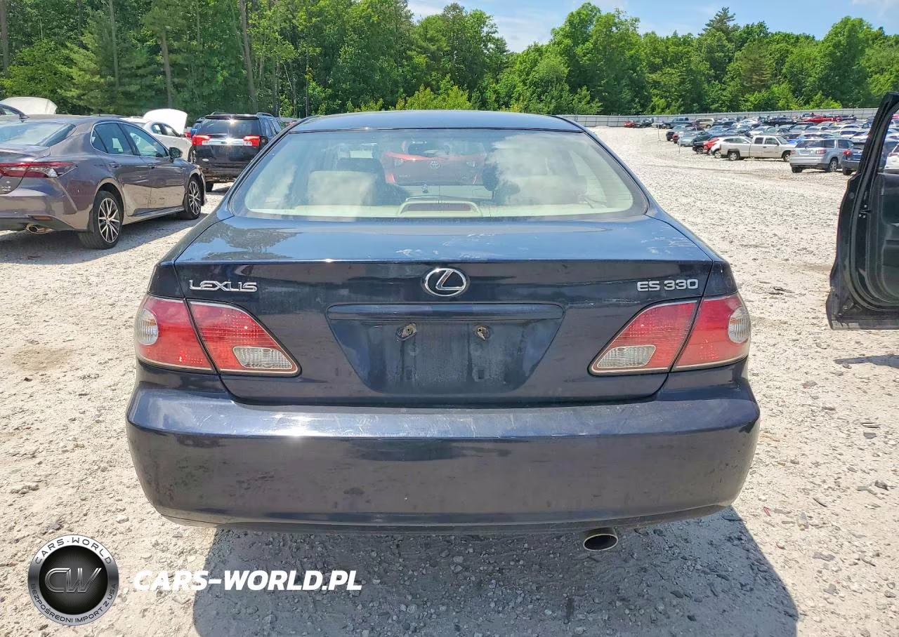2004 Lexus Es 330 VIN:JTHBA30G545009286 - 6