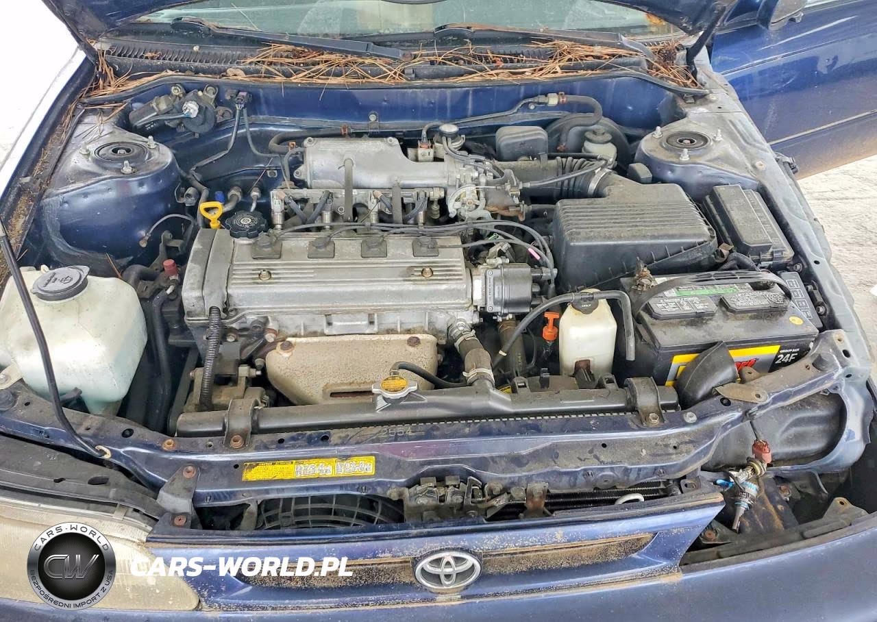 1997 Toyota Corolla Dx VIN:2T1BB02E6VC185258 - 11