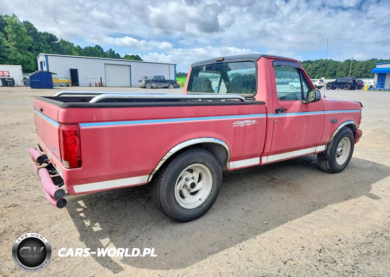 1993 Ford F150 VIN:1FTDF15R1PLB15941 - 3