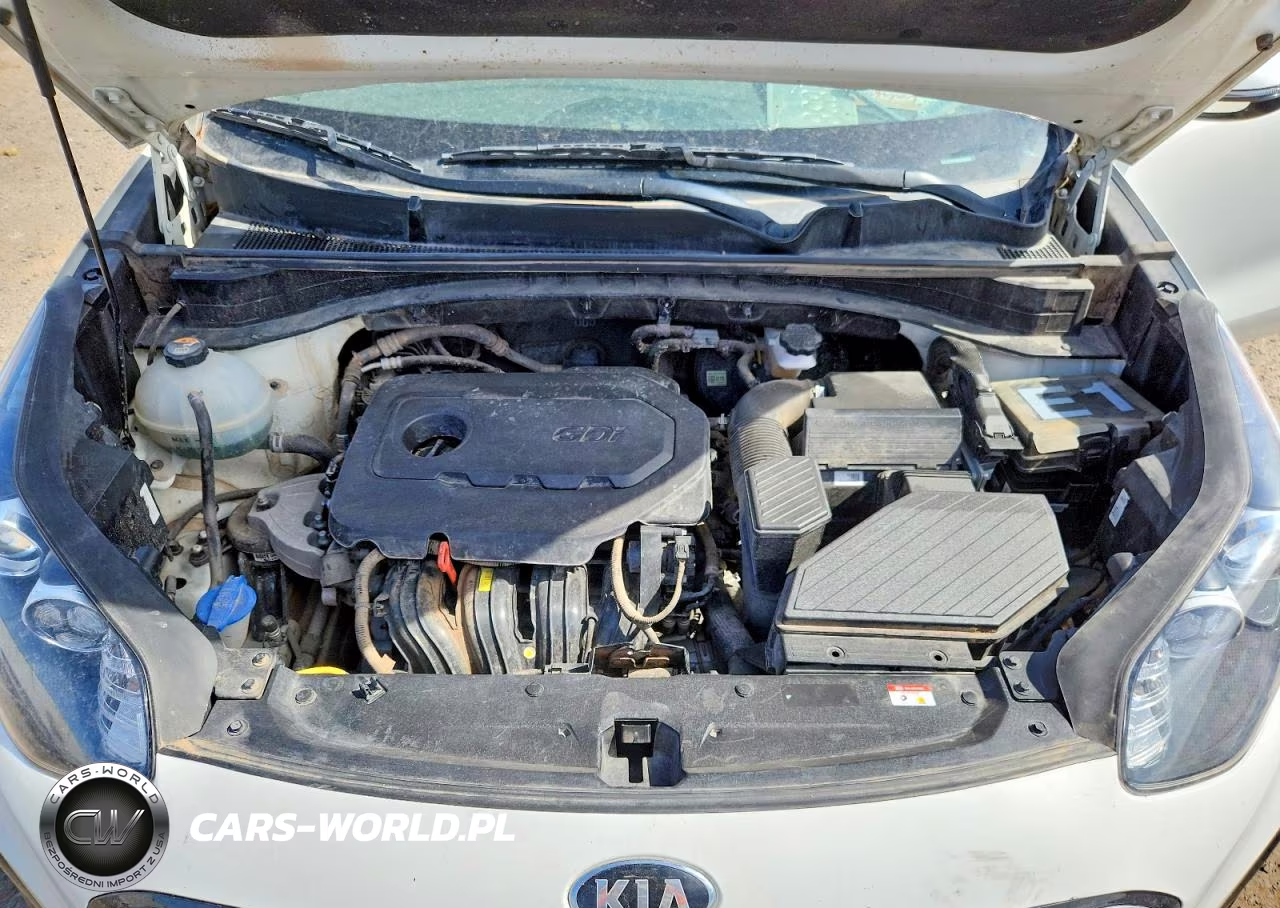 2020 Kia Sportage Lx VIN:KNDPM3AC2L7795576 - 12