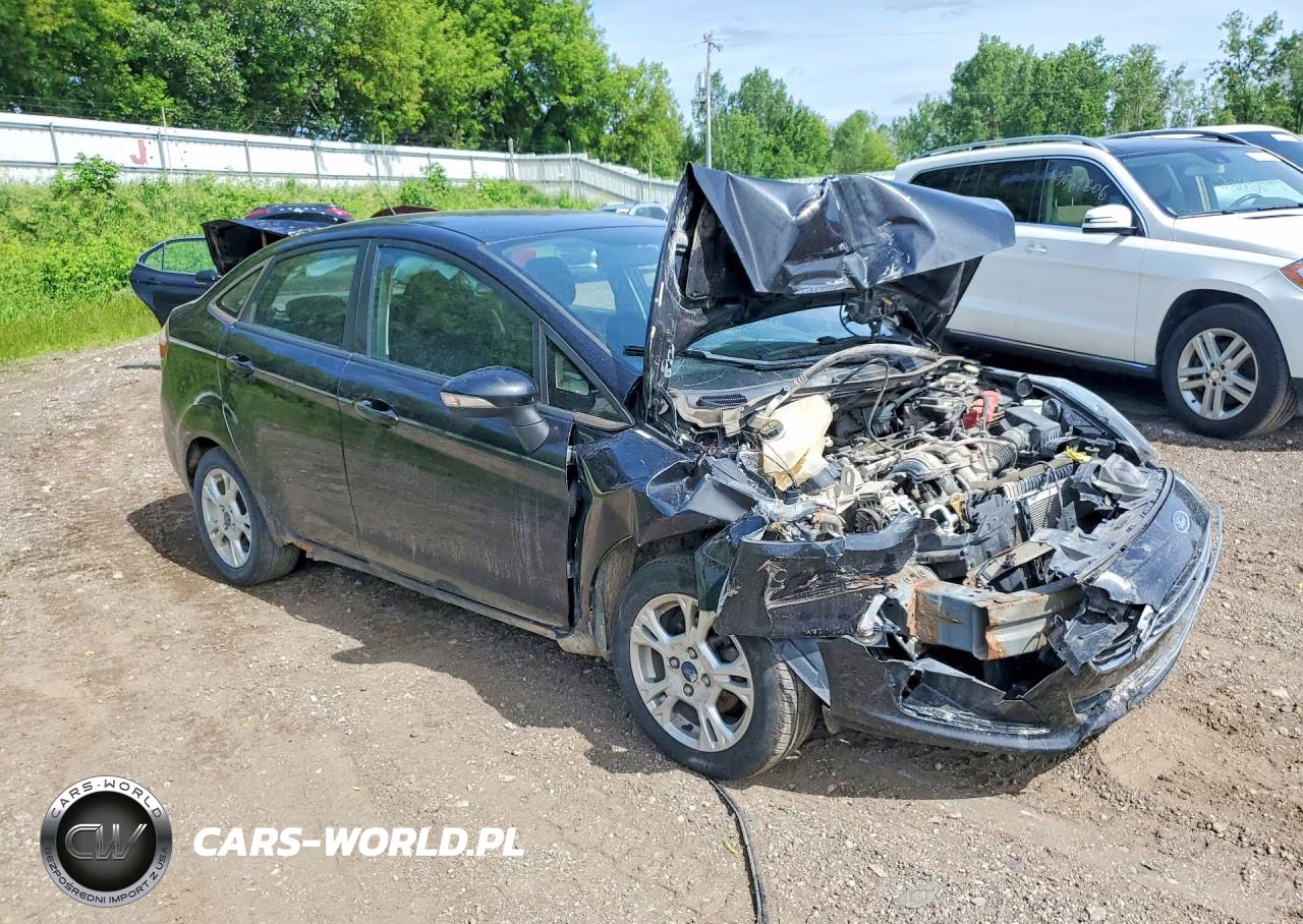 2014 Ford Fiesta Se VIN:3FADP4BJ3EM186377 - 4