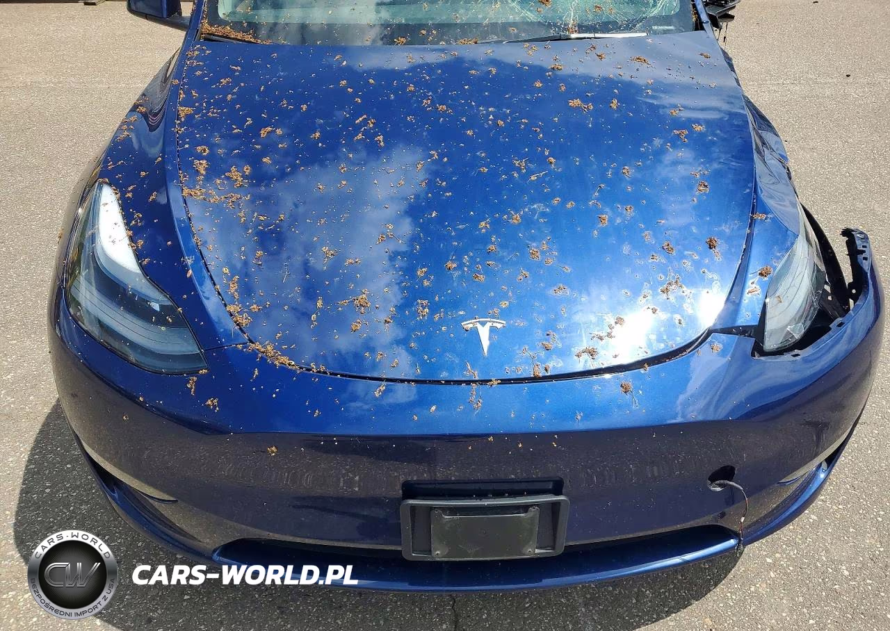 2024 Tesla Model Y VIN:7SAYGDEE8RA227459 - 11