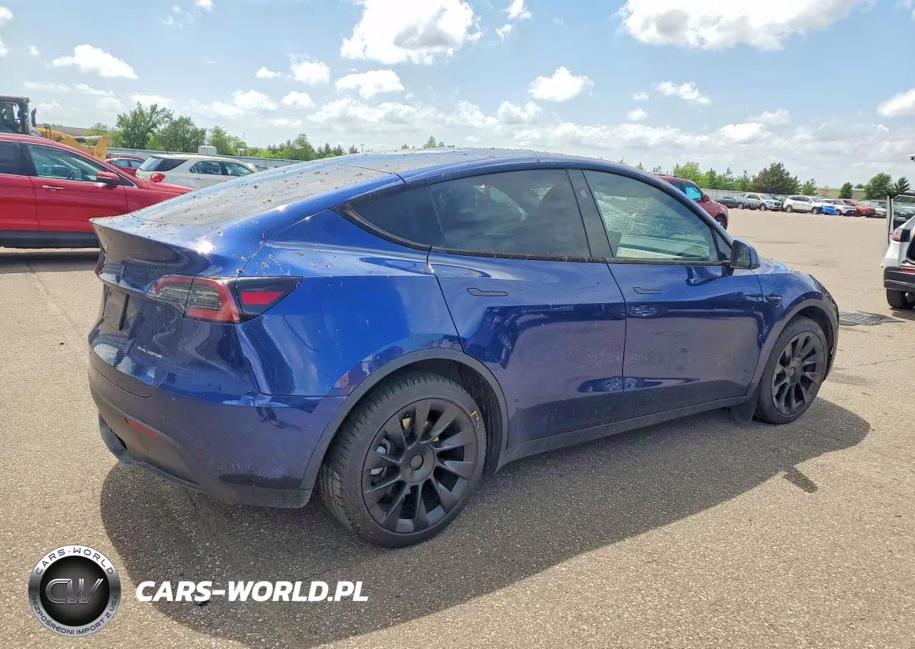 2024 Tesla Model Y VIN:7SAYGDEE8RA227459 - 3