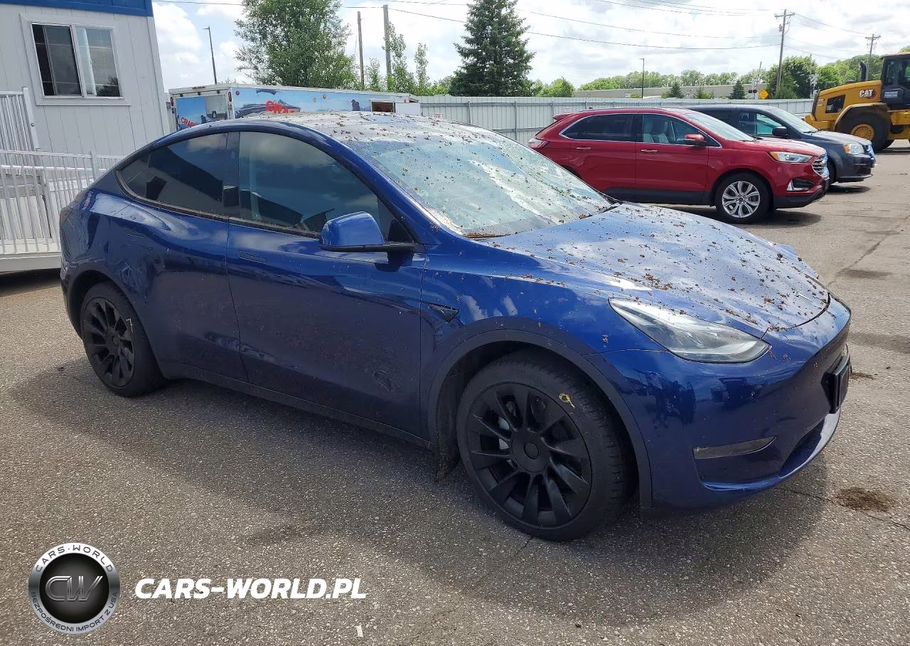 2024 Tesla Model Y VIN:7SAYGDEE8RA227459 - 4