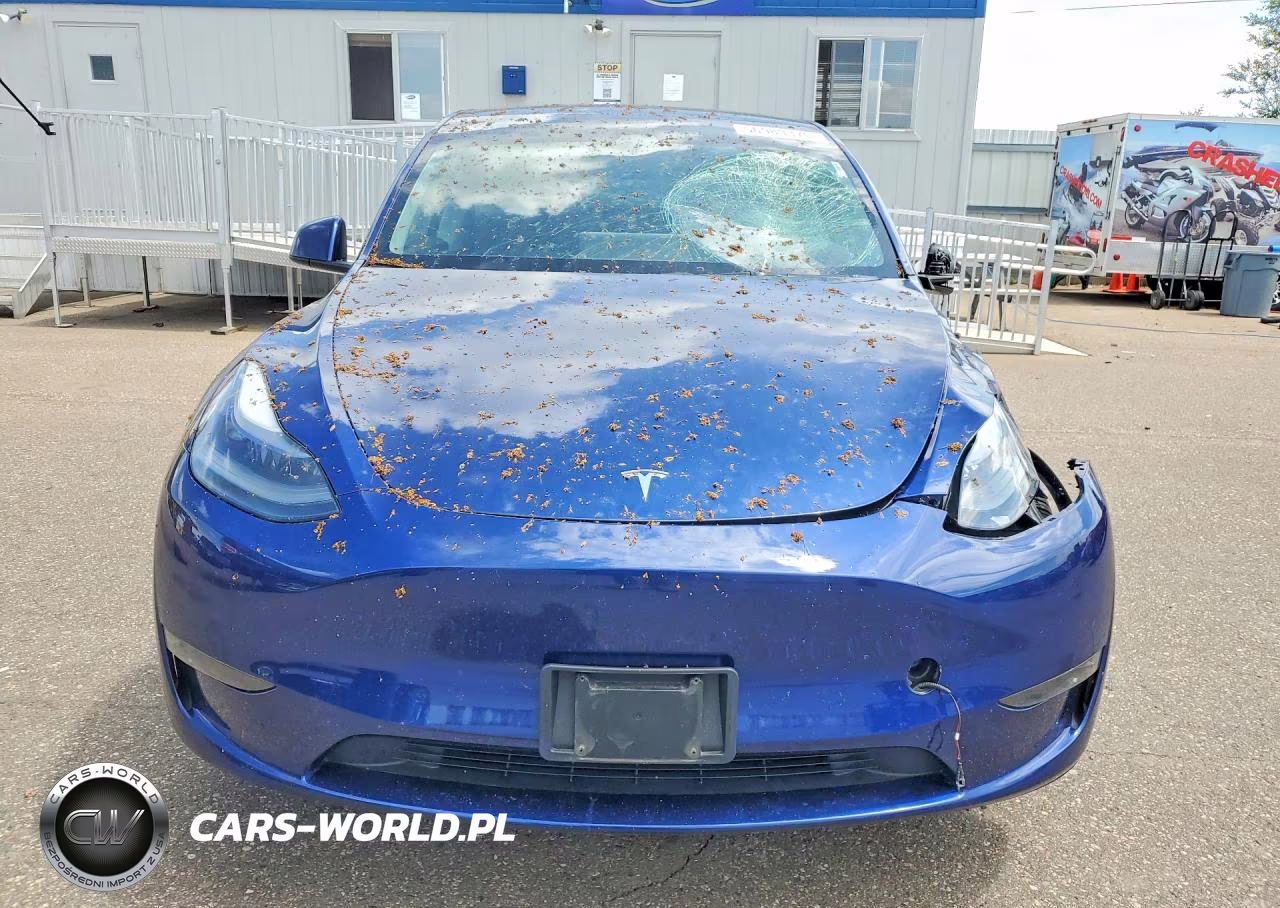 2024 Tesla Model Y VIN:7SAYGDEE8RA227459 - 5