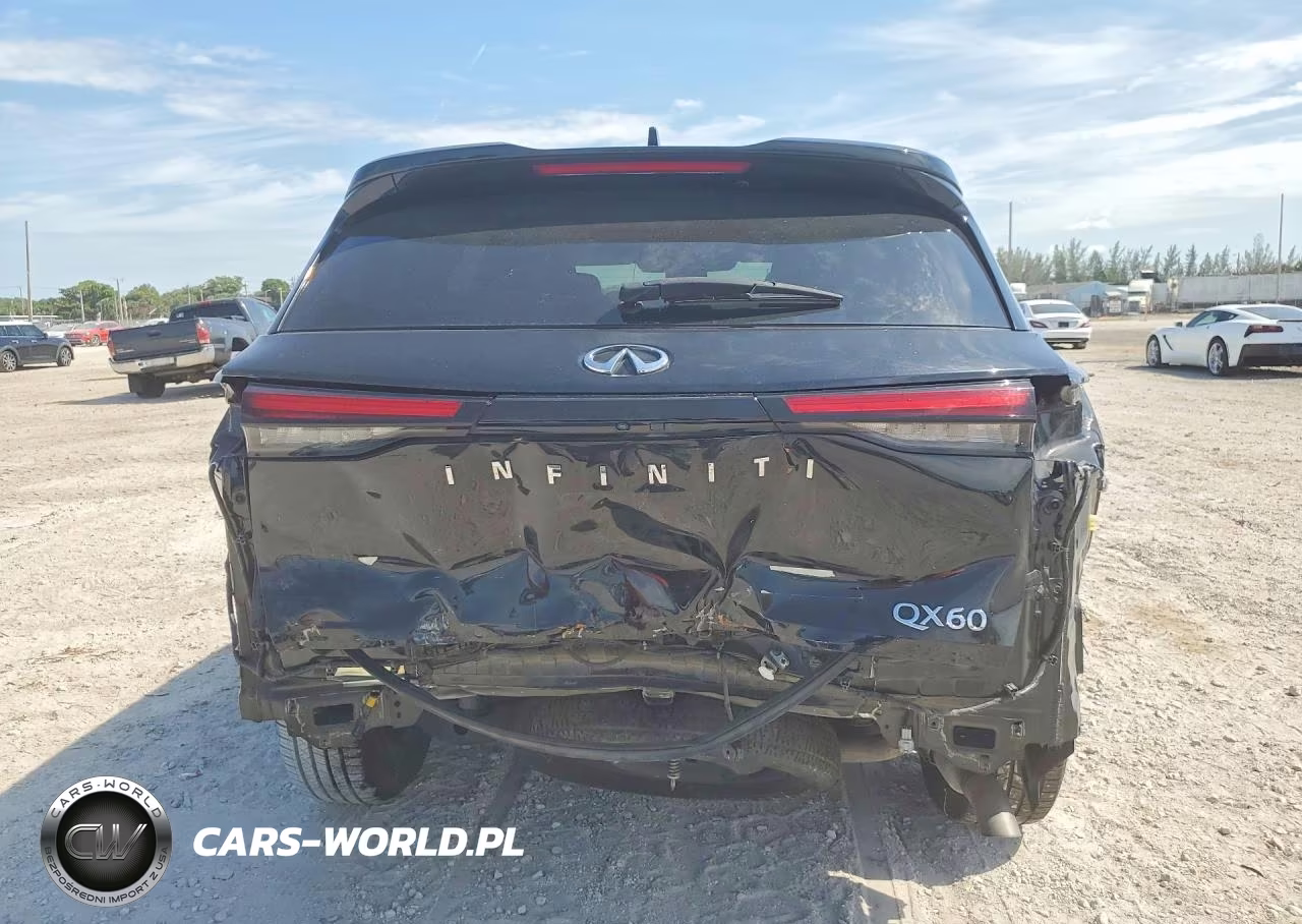 2024 Infiniti Qx60 Pure VIN:5N1DL1ERXRC346862 - 6