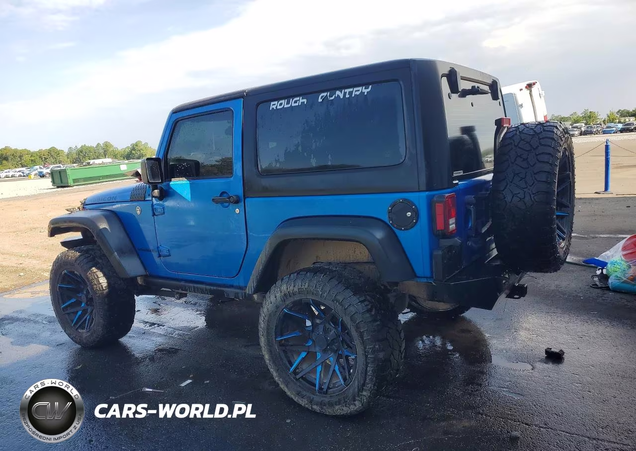 2016 Jeep Wrangler Rubicon VIN:1C4BJWCG0GL104451 - 2