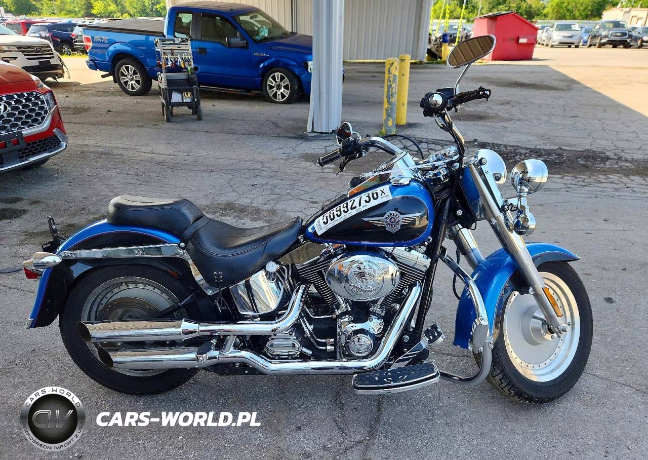 2004 Harley-Davidson Flstfi