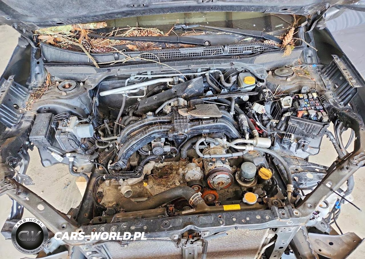2020 Subaru Forester Limited VIN:JF2SKASC4LH457434 - 11