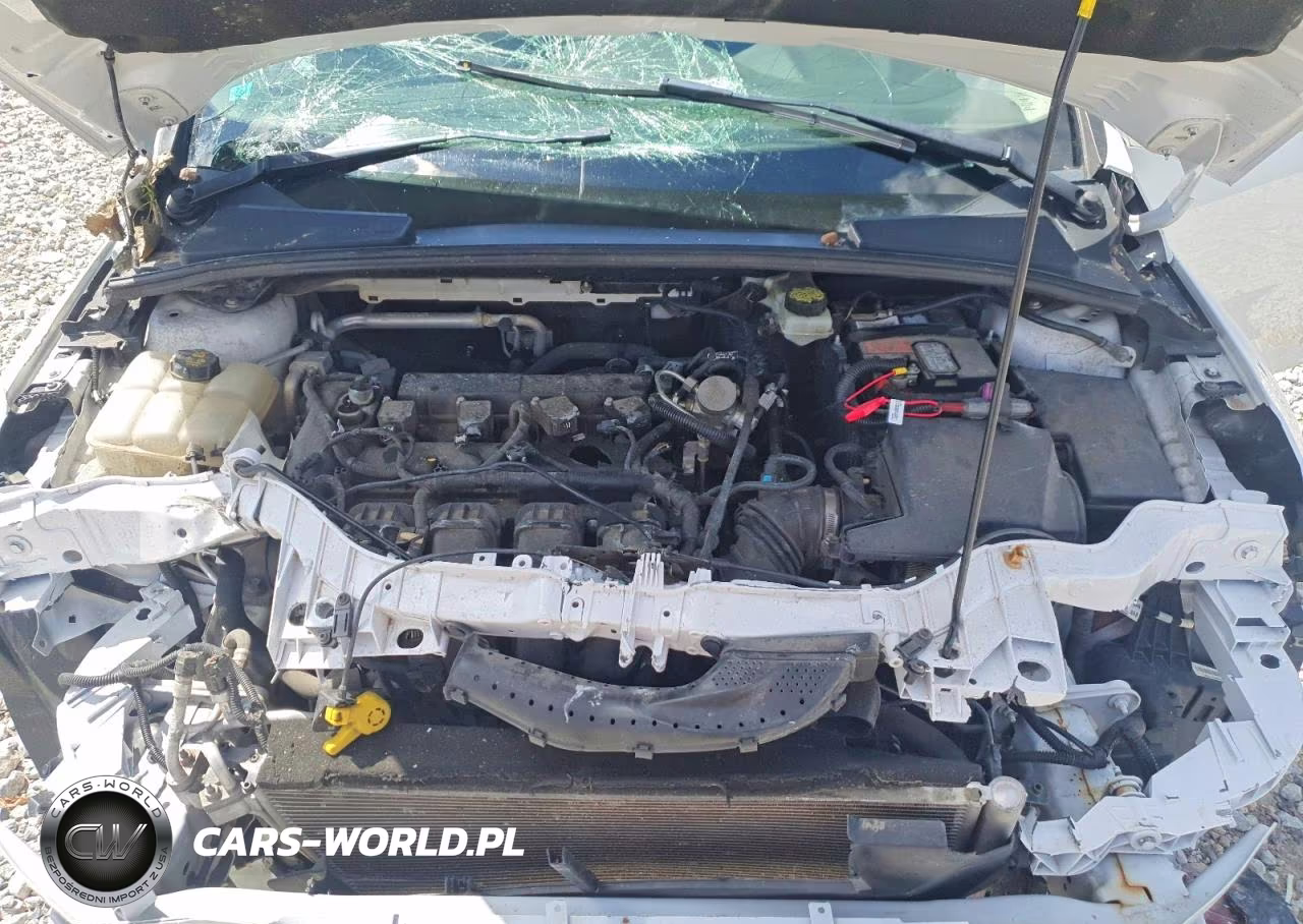 2017 Ford Focus Se VIN:1FADP3F20HL292014 - 11