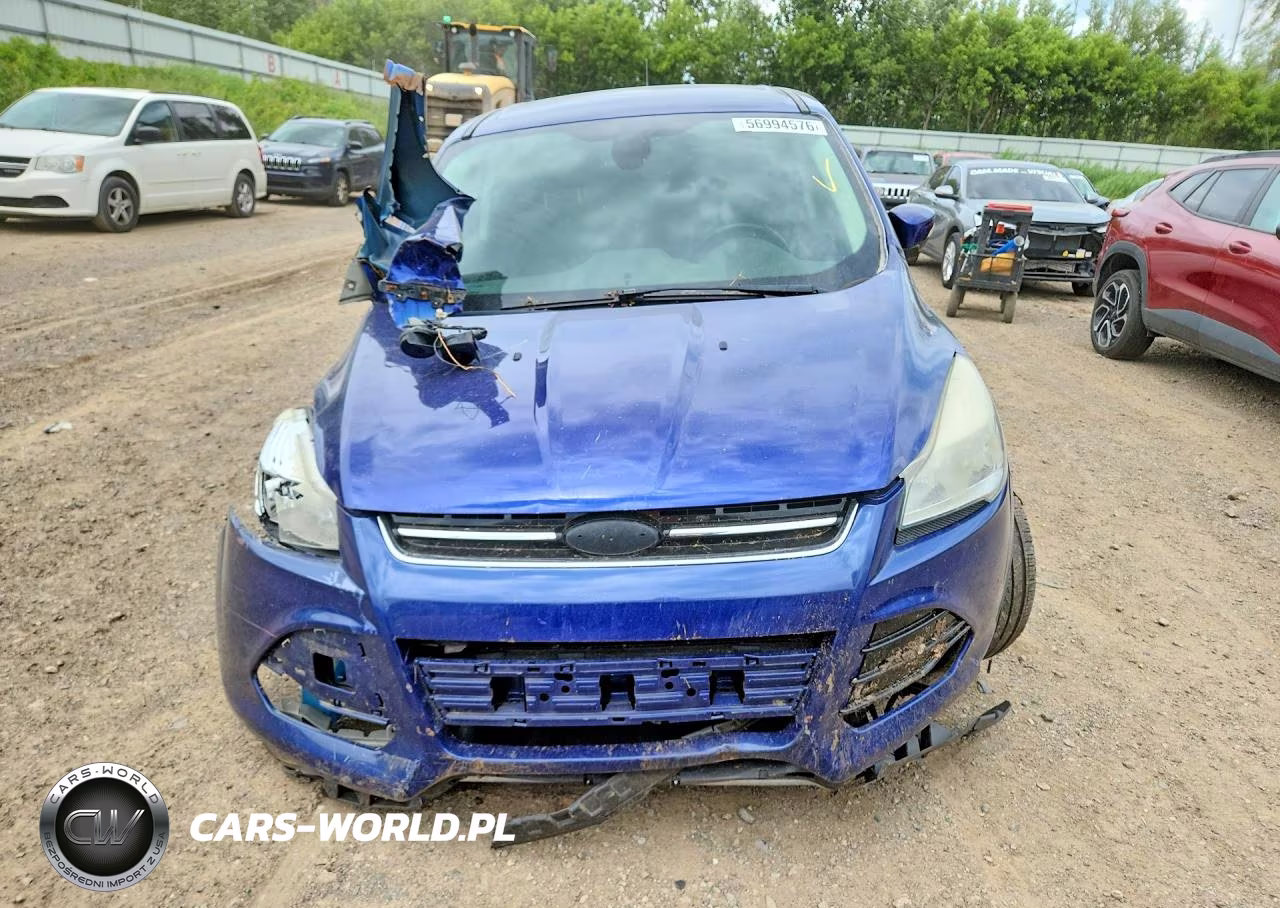 2013 Ford Escape Sel VIN:1FMCU9HX1DUA78000 - 5
