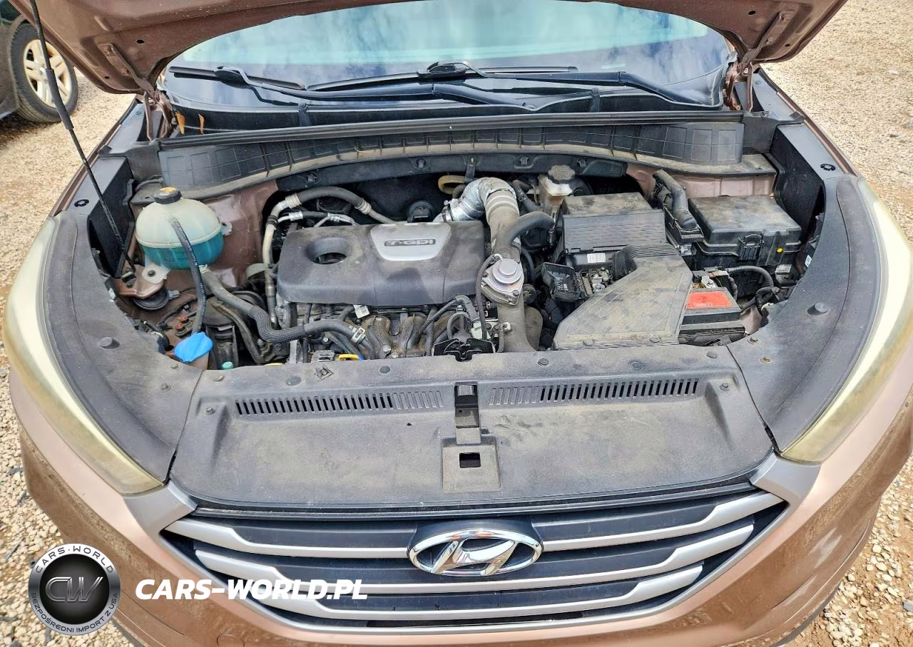 2017 Hyundai Tucson Sport VIN:KM8J33A26HU367689 - 12