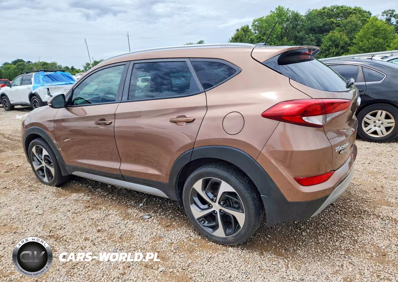 2017 Hyundai Tucson Sport VIN:KM8J33A26HU367689 - 2