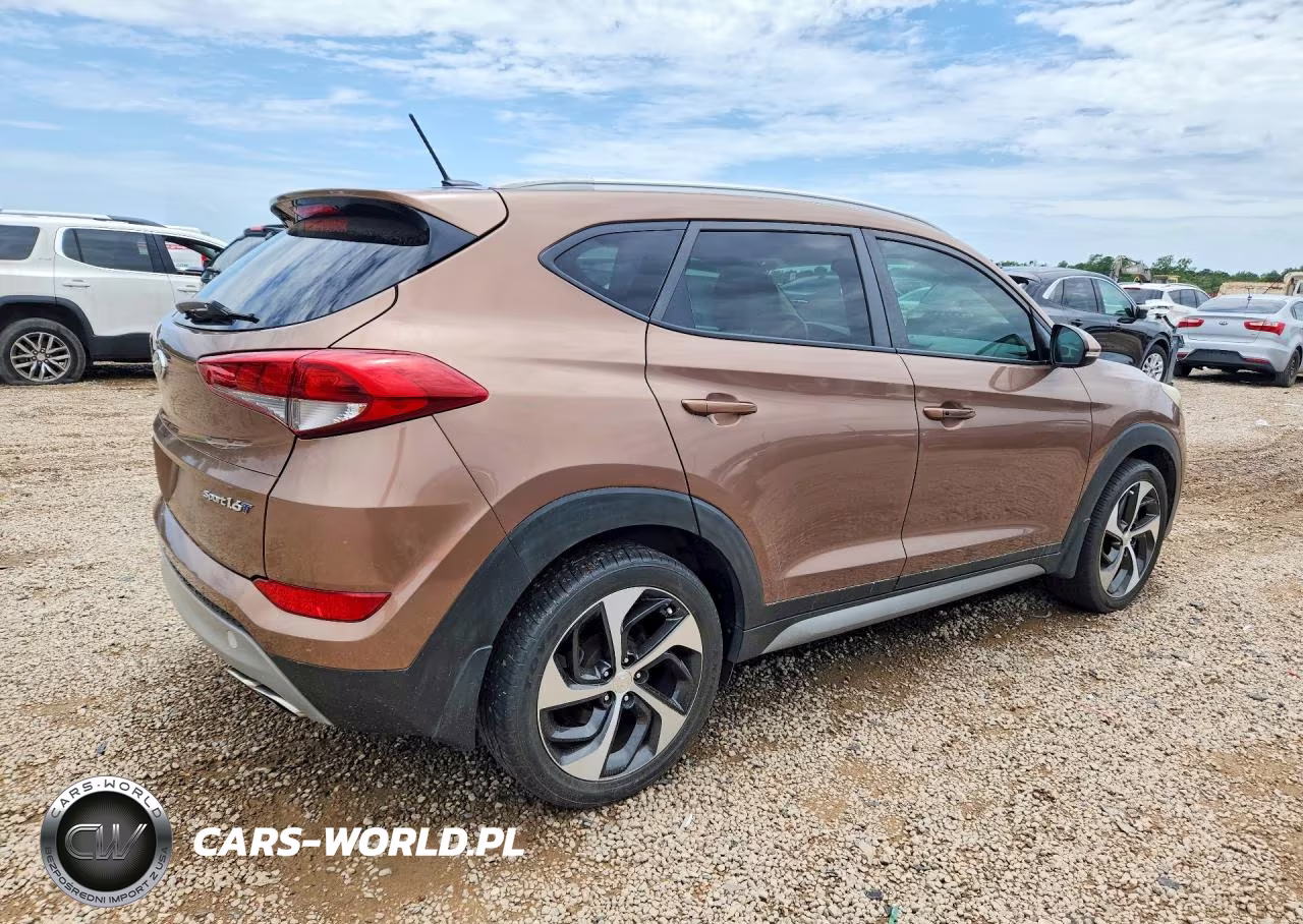 2017 Hyundai Tucson Sport VIN:KM8J33A26HU367689 - 3