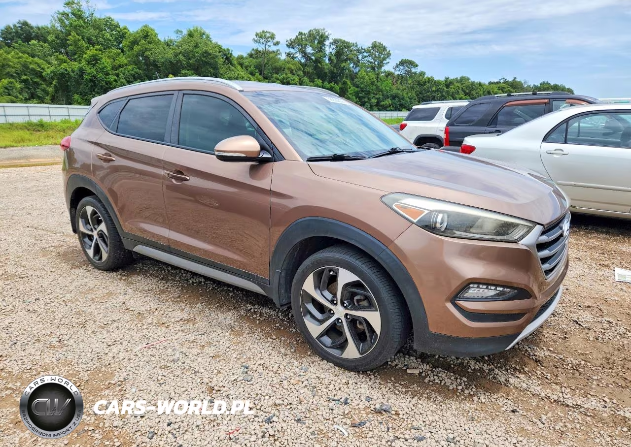 2017 Hyundai Tucson Sport VIN:KM8J33A26HU367689 - 4