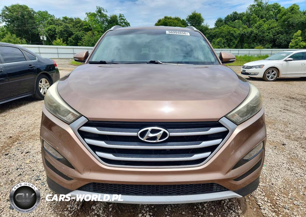 2017 Hyundai Tucson Sport VIN:KM8J33A26HU367689 - 5