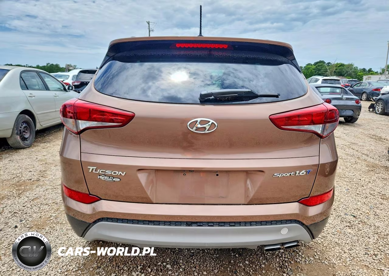 2017 Hyundai Tucson Sport VIN:KM8J33A26HU367689 - 6