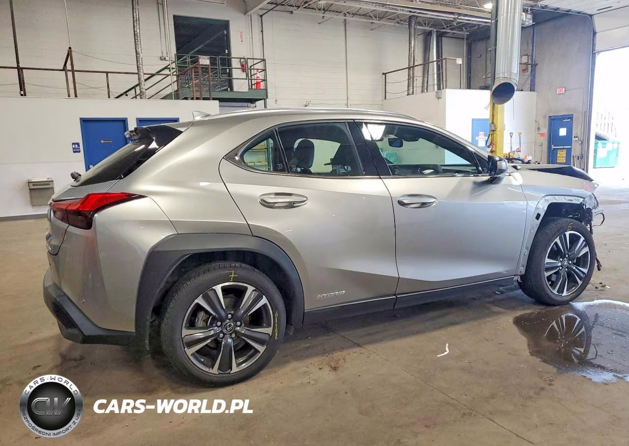 2019 Lexus Ux 250H VIN:JTHU9JBH7K2019571 - 3
