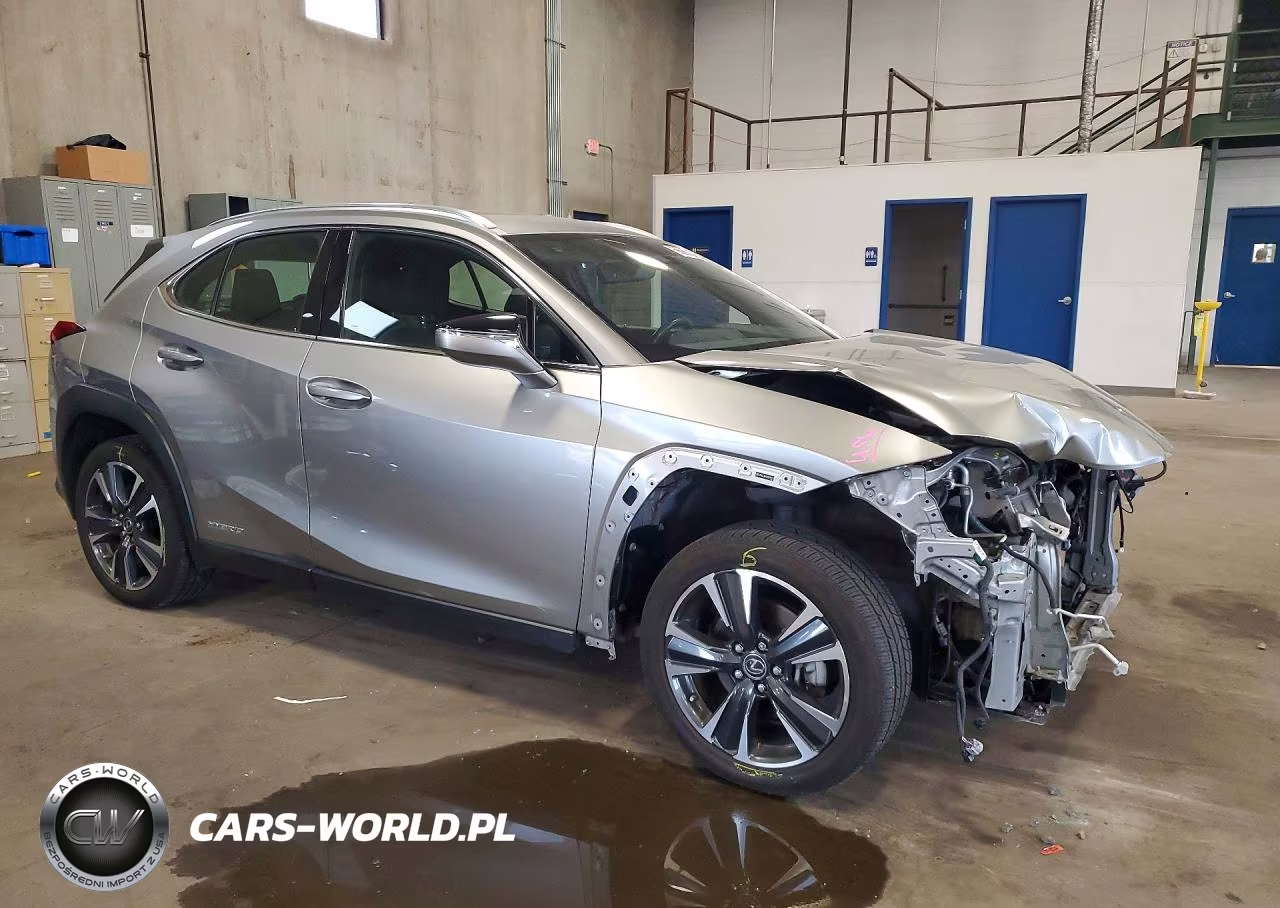 2019 Lexus Ux 250H VIN:JTHU9JBH7K2019571 - 4