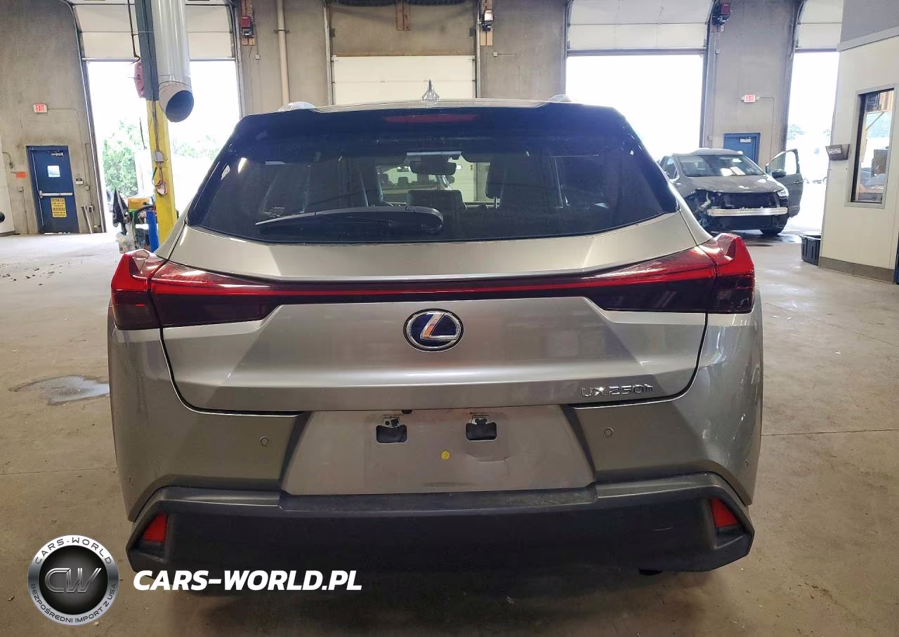 2019 Lexus Ux 250H VIN:JTHU9JBH7K2019571 - 6