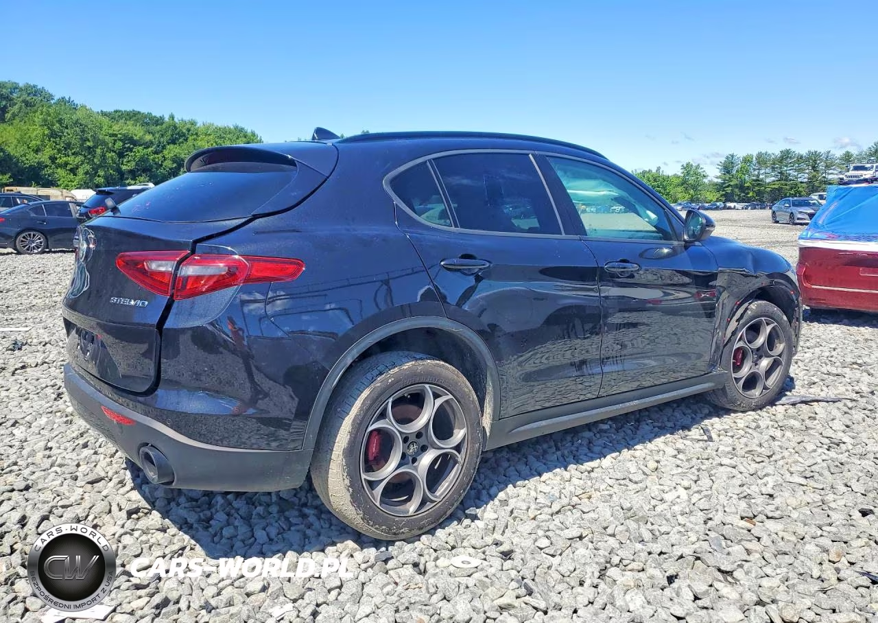 2022 Alfa Romeo Stelvio VIN:ZASPAKAN9N7D30629 - 3