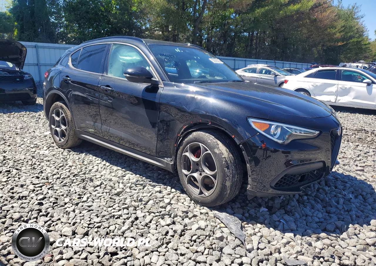 2022 Alfa Romeo Stelvio VIN:ZASPAKAN9N7D30629 - 4