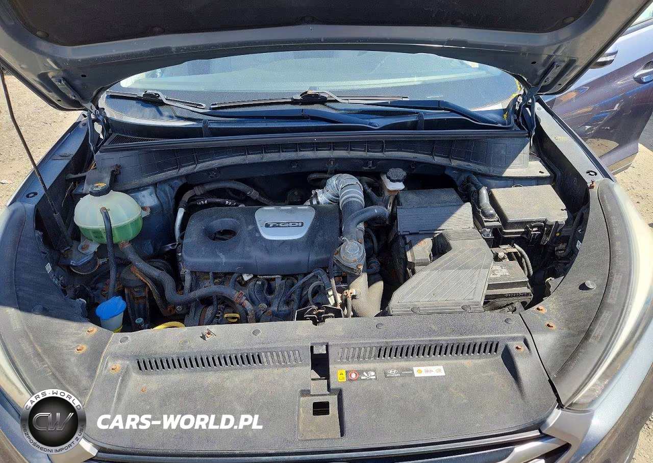 2017 Hyundai Tucson Eco VIN:KM8J3CA21HU288141 - 12