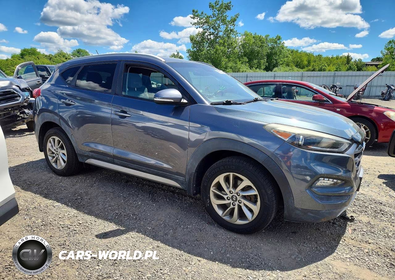 2017 Hyundai Tucson Eco VIN:KM8J3CA21HU288141 - 4