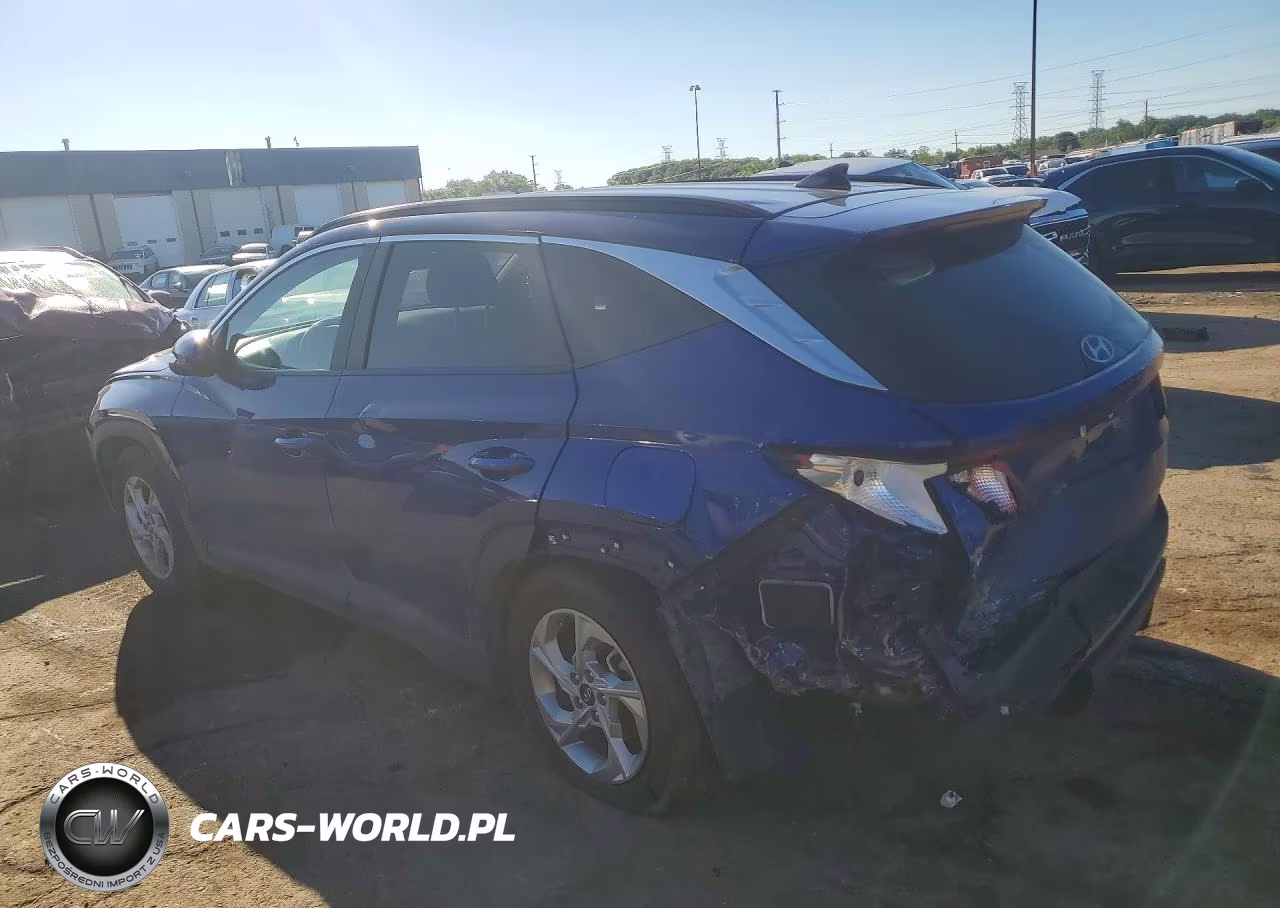 2024 Hyundai Tucson Sel VIN:5NMJB3DEXRH353834 - 2