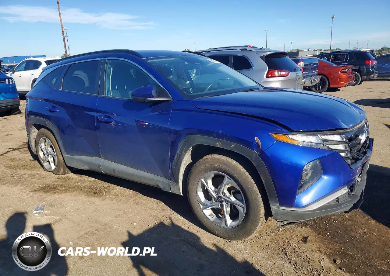 2024 Hyundai Tucson Sel VIN:5NMJB3DEXRH353834 - 4