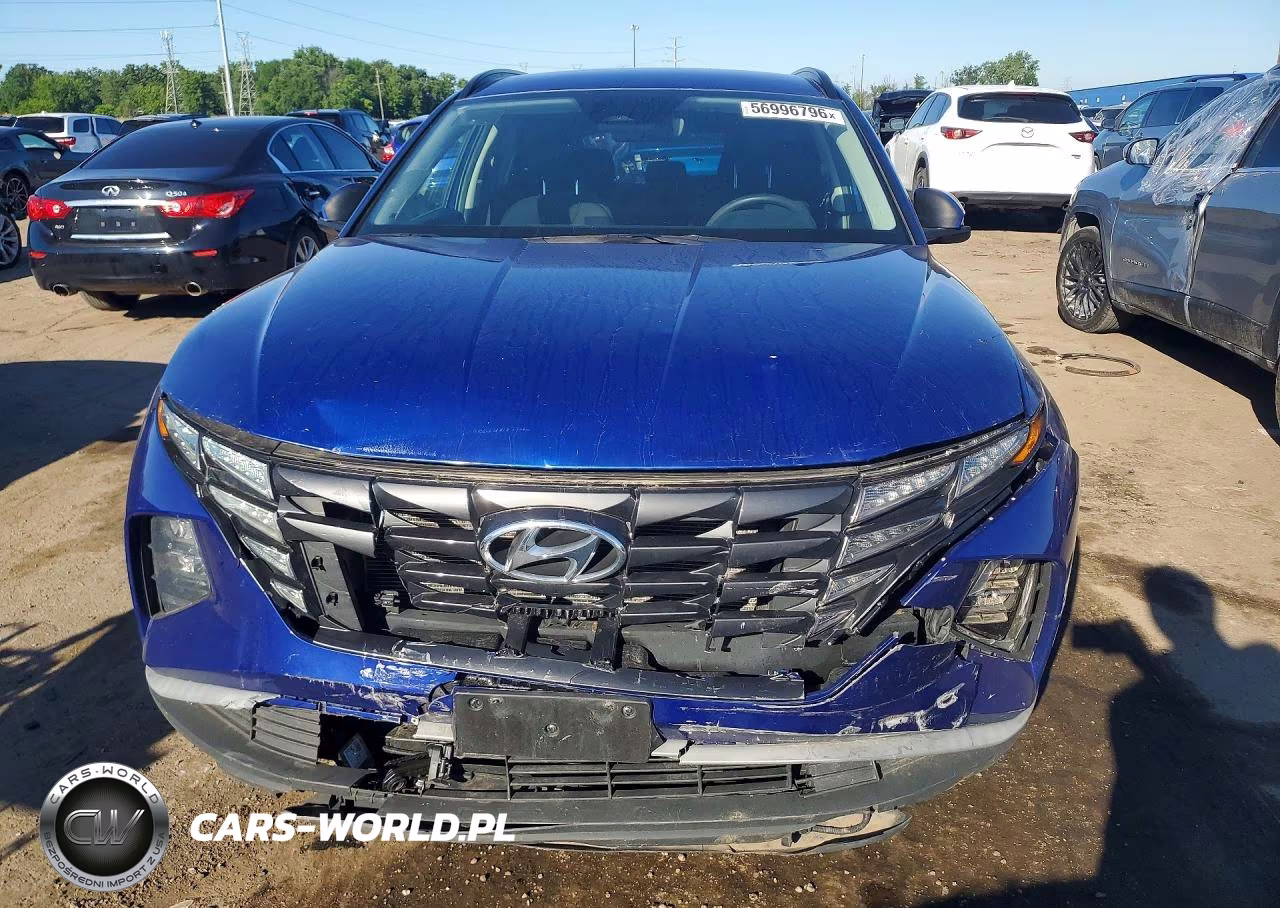2024 Hyundai Tucson Sel VIN:5NMJB3DEXRH353834 - 5