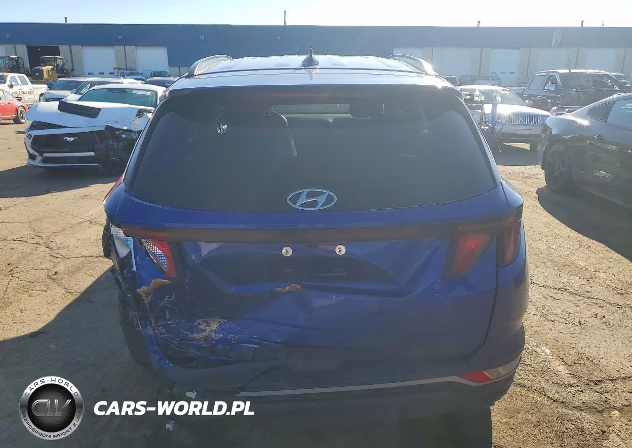 2024 Hyundai Tucson Sel VIN:5NMJB3DEXRH353834 - 6