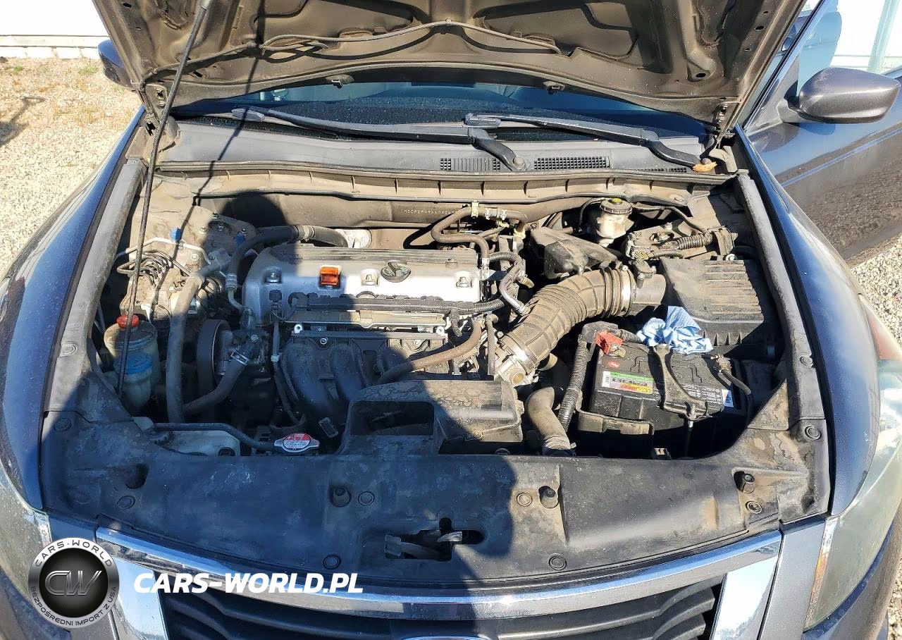 2010 Honda Accord Lxp VIN:1HGCP2F49AA032439 - 11