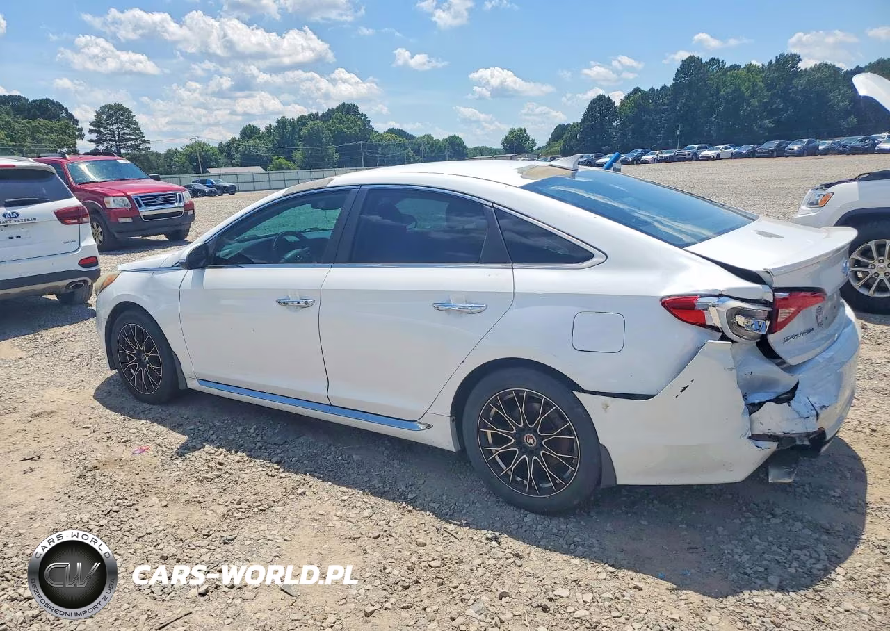 2016 Hyundai Sonata Sport VIN:5NPE34AF2GH319744 - 2