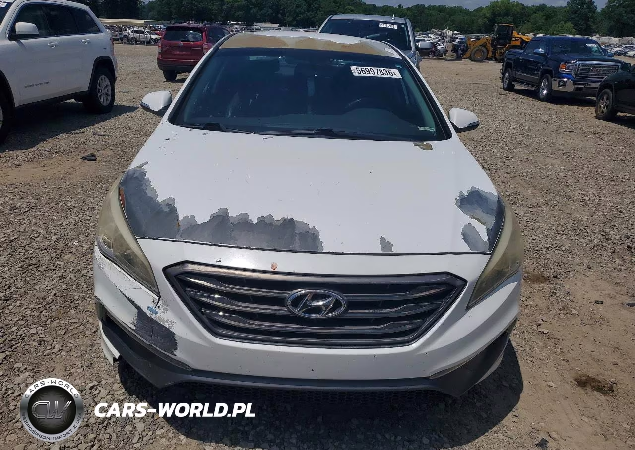 2016 Hyundai Sonata Sport VIN:5NPE34AF2GH319744 - 5