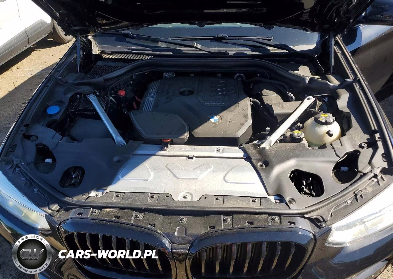 2021 BMW X3 xDrive30I VIN:5UXTY5C02M9G63135 - 12