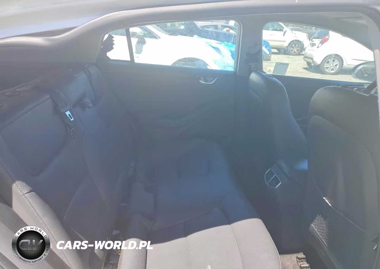2020 Hyundai Ioniq Limited VIN:KMHC05LC4LU235140 - 10
