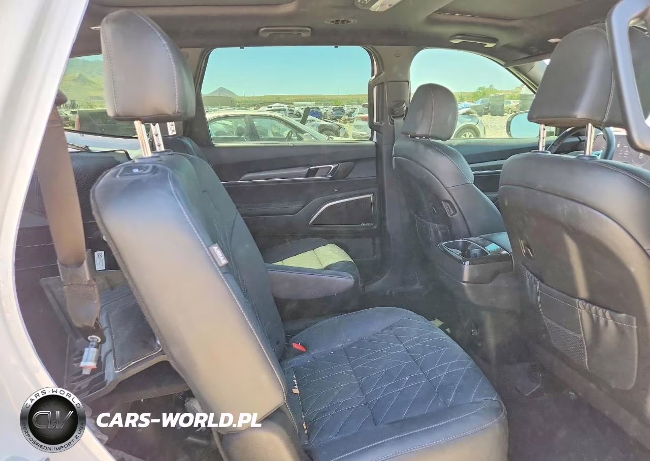 2023 Kia Telluride Sx X-Line VIN:5XYP5DGC3PG393844 - 10