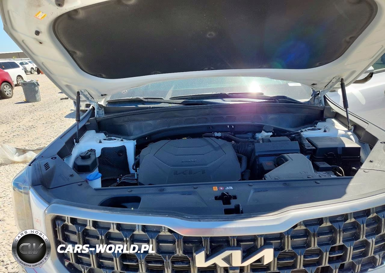 2023 Kia Telluride Sx X-Line VIN:5XYP5DGC3PG393844 - 11