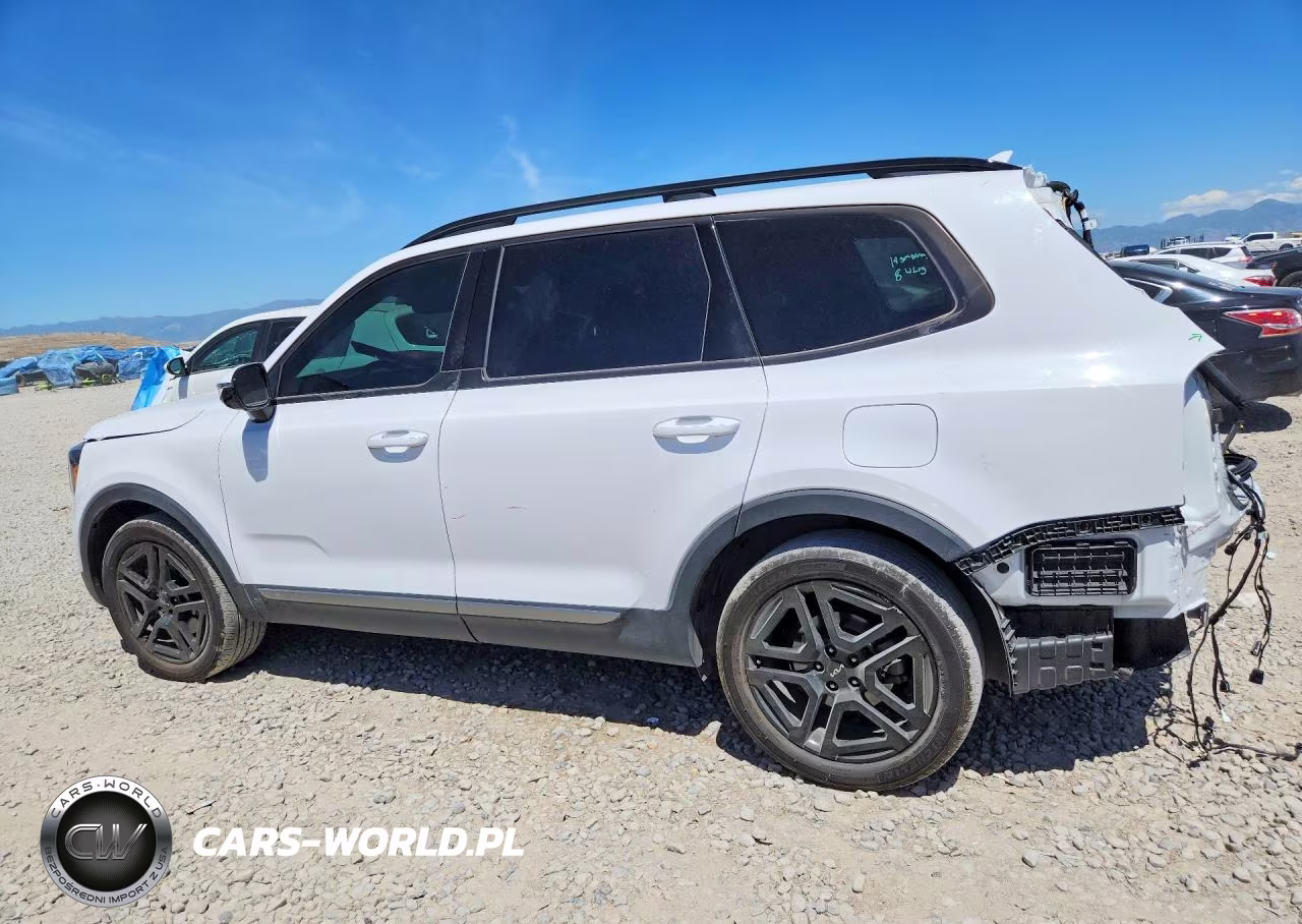 2023 Kia Telluride Sx X-Line VIN:5XYP5DGC3PG393844 - 2