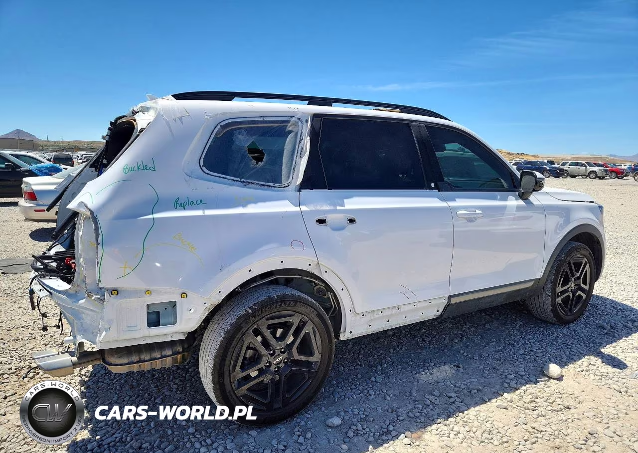 2023 Kia Telluride Sx X-Line VIN:5XYP5DGC3PG393844 - 3