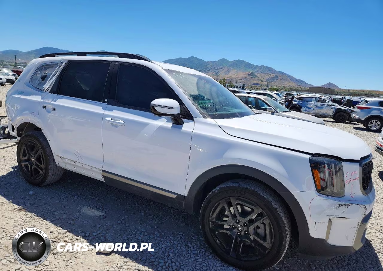 2023 Kia Telluride Sx X-Line VIN:5XYP5DGC3PG393844 - 4