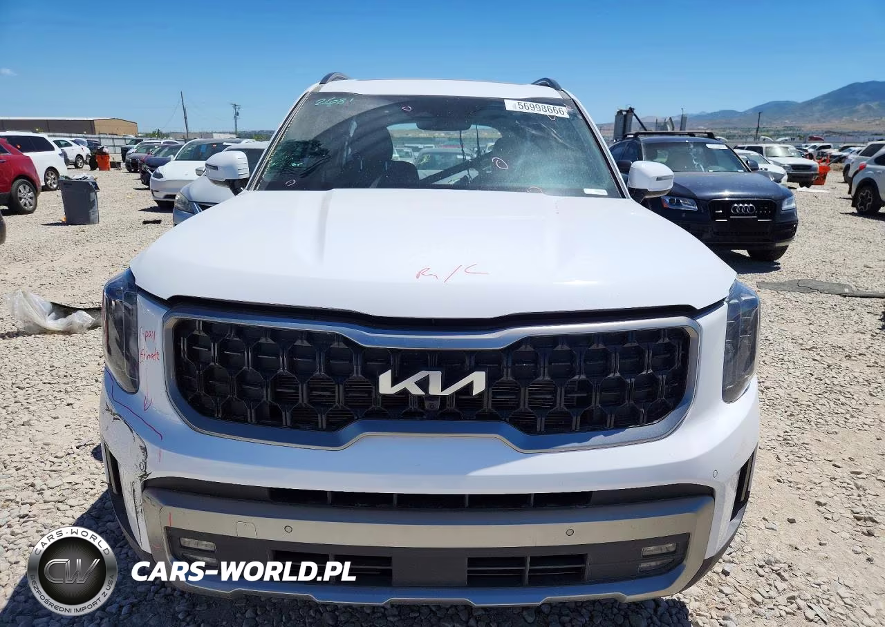2023 Kia Telluride Sx X-Line VIN:5XYP5DGC3PG393844 - 5