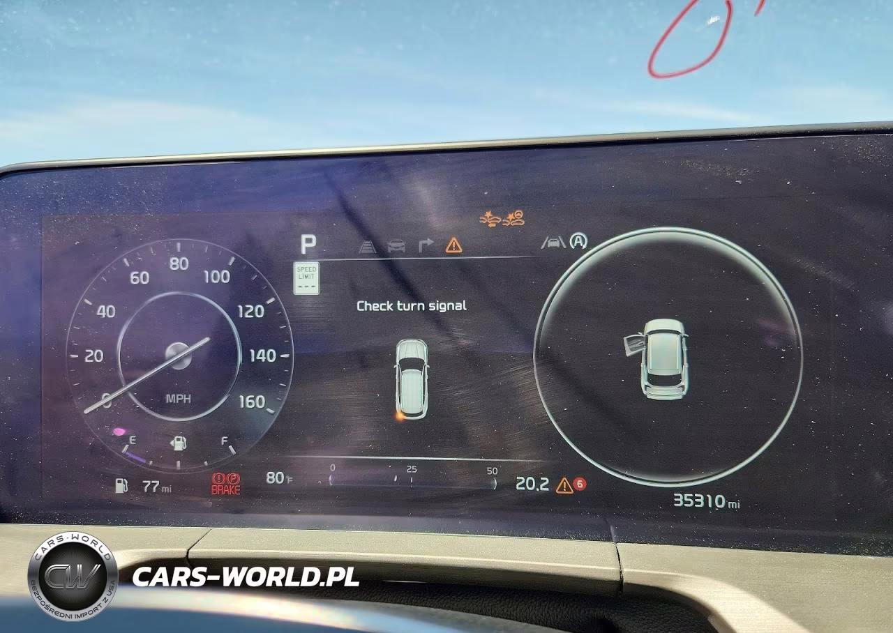 2023 Kia Telluride Sx X-Line VIN:5XYP5DGC3PG393844 - 9