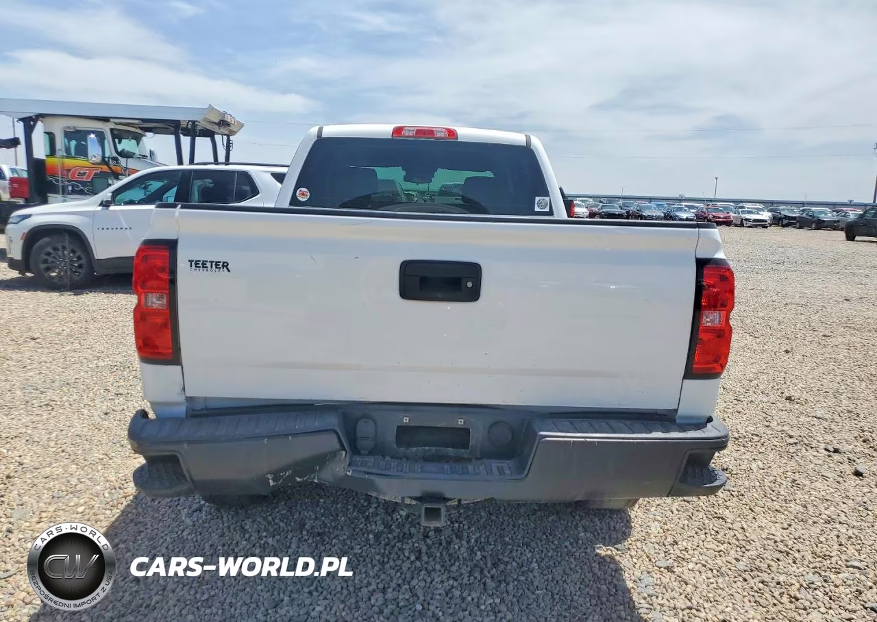 2018 Chevrolet Silverado K1500 VIN:3GCUKNECXJG427307 - 6